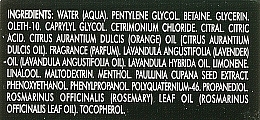 Lotion für alle Haartypen mit Guarana-Extrakt und ätherischem Orangenöl - Rene Furterer Forticea Energizing Lotion All Hair Types — Bild N2
