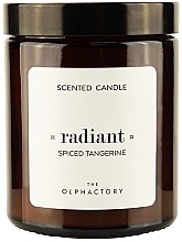 Düfte, Parfümerie und Kosmetik Duftkerze im Glas - Ambientair The Olphactory Radiant Spiced Tangerine Scented Candle