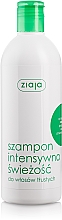 Düfte, Parfümerie und Kosmetik Erfrischendes Shampoo für fettiges Haar "Minze" - Ziaja Shampoo