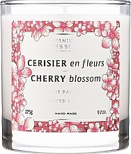 Düfte, Parfümerie und Kosmetik Duftkerze im Glas Kirschblüte - Panier Des Sens Scented Candle Cherry Blossom