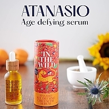 Straffendes Anti-Aging Gesichtsserum mit Vitamin C, E und Antioxidantien - In The Wild Atanasio Age Defying CBD Facial Serum — Bild N4