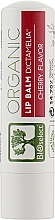 Düfte, Parfümerie und Kosmetik Lippenbalsam mit Kirschgeschmack - BIOselect Lip Balm