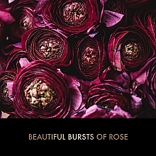 Nagelpflegeset - Baylis & Harding Boudoire Rose Luxury Manicure Pamper Trio  — Bild N3