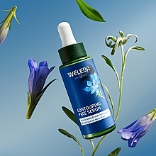 Serum mit blauem Enzian und Edelweiß  - Weleda  — Bild N3