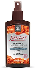 Haarspray für trockenes und sprödes Haar mit Amberextrakt - Farmona Jantar Mist For Dry And Brittle Hair — Bild N1