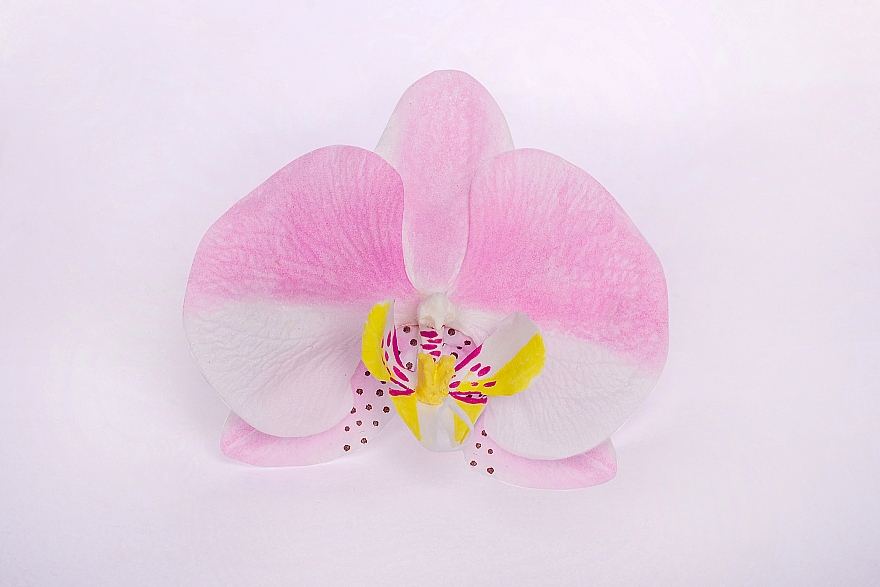 Automatische Haarspange Rosa Orchidee - Katya Snezhkova — Bild N1