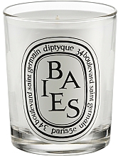 Düfte, Parfümerie und Kosmetik Duftkerze im Glas Baies - Diptyque Baies Candle