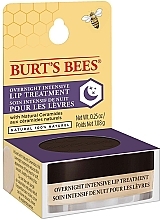 Lippencreme für die Nacht - Burt's Bees Overnight Intensive Lip Treatment — Bild N4