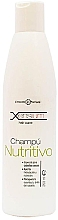 Düfte, Parfümerie und Kosmetik Pflegendes Haarshampoo - Xesnsium Nourishing Shampoo