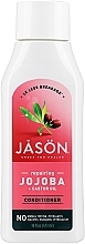 Haarspülung mit Jojoba-Extrakt - Jason Natural Cosmetics Jojoba Conditioner — Bild N3
