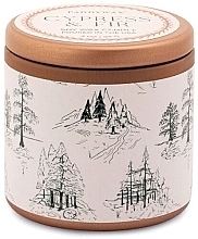 Duftkerze im Glas Zypresse und Tanne - Paddywax Cypress & Fir Copper Tin Candle White With Green Toile Pattern — Bild N1