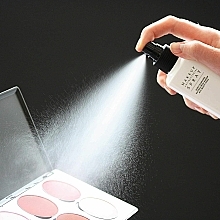 Antibakterielles Desinfektionsspray für Make-up und Make-up Zubehör - The Pro Hygiene Collection Antibacterial Make-up Spray — Foto N2
