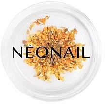 Trockenblumen zur Nageldekoration - NeoNail Professional  — Bild N1