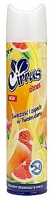 Lufterfrischer Zitrusfrüchte - Cirrus — Bild N1