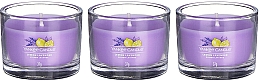 Duftkerzen-Set Zitrone und Lavendel - Yankee Candle Lemon Lavender (candle/3x37g) — Bild N2