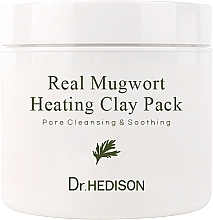 Wärmende Maske gegen Mitesser mit Wermutextrakt - Dr. Hedison Real Mugwort Heating Clay Pack — Bild N1