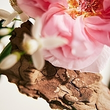 Chloé Rose Naturelle - Eau de Parfum — Bild N8