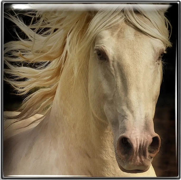 Lidschatten - Chantecaille Matte Eye Shade Wild Mustang Collection — Bild N2