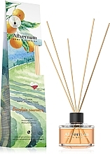 Düfte, Parfümerie und Kosmetik Raumerfrischer Brazilian Orange - Allvernum Home & Essences Diffuser Fragrance Sticks
