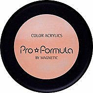 Düfte, Parfümerie und Kosmetik Acrylpulver - Magnetic Pro Formula Powder