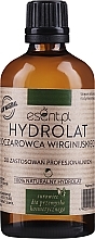 Düfte, Parfümerie und Kosmetik Virginia-Nuss-Hydrolat - Esent