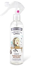 Düfte, Parfümerie und Kosmetik Lufterfrischerspray - The Fruit Company Multi-Purpose Air Freshener Spray Coconut