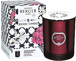 Düfte, Parfümerie und Kosmetik Maison Berger Prisme Garnet Wilderness - Duftkerze