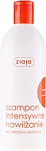Feuchtigkeitsspendendes Shampoo für trockenes Haar - Ziaja Shampoo — Bild N1