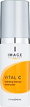 Intensive Feuchtigkeitscreme - Image Skincare Vital C Hydrating Intense Moisturizer — Bild N1