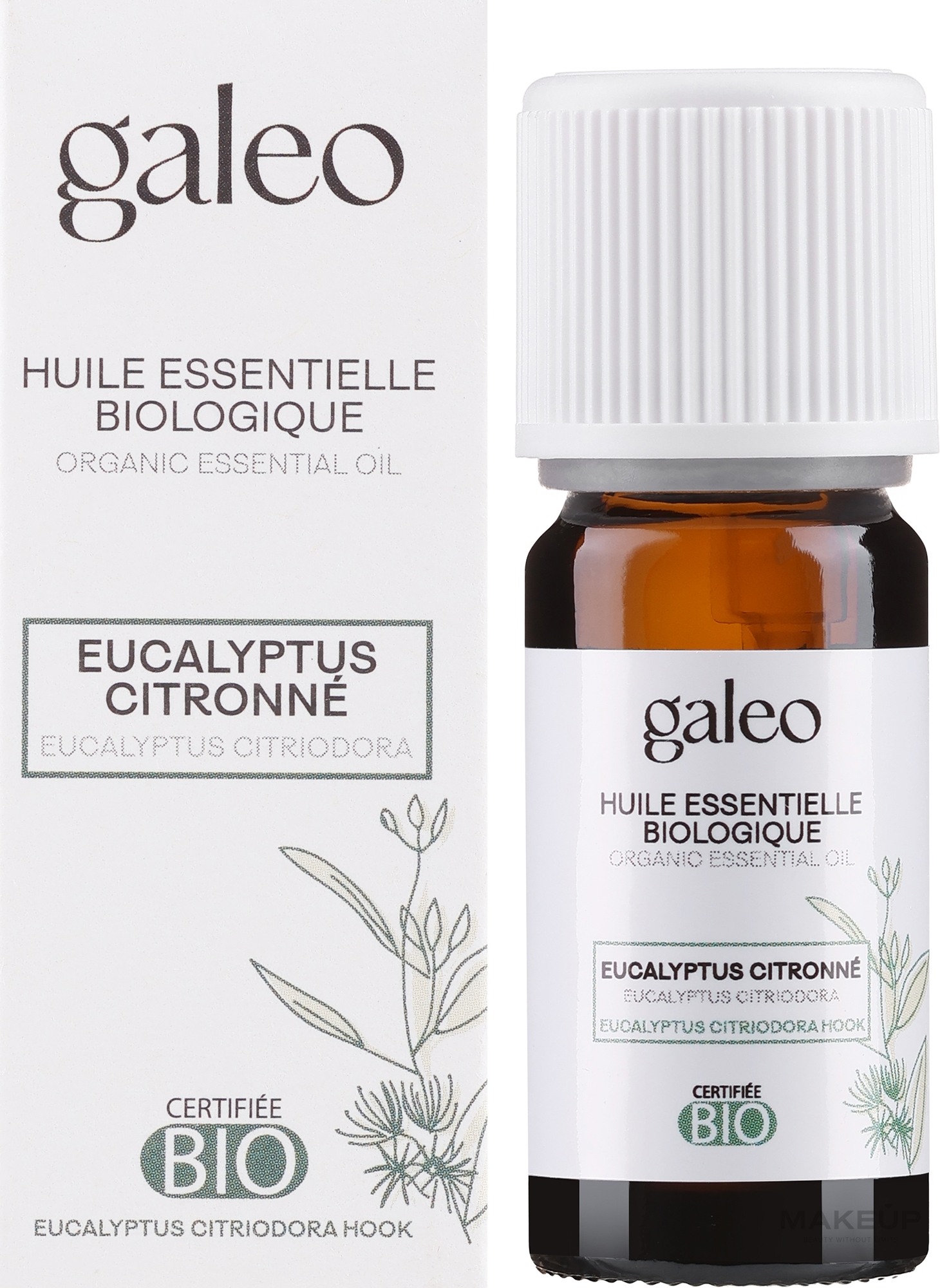 Organisches ätherisches Öl Zitrone - Galeo Organic Essential Oil Eucalyptus Citriodora — Bild 10 ml