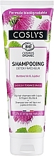Shampoo für fettiges Haar mit Bio Pfefferminze - Coslys Shampoo with organic peppermint — Bild N1
