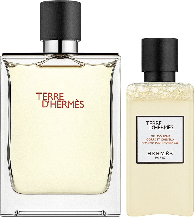 Hermes Terre dHermes - Duftset (Eau de Toilette 100ml + Duschgel 80ml) — Bild N2