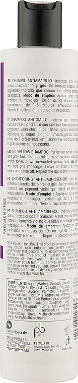 Shampoo mit Arganextrakt und Aloe Vera - Design Look No Yellow Shampoo Vegan Argan & Aloe Vera — Bild N2