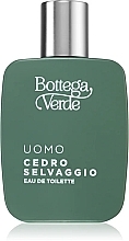 Bottega Verde Cedro Selvaggio - Eau de Toilette — Bild N2