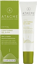 Augencreme mit den Vitaminen A und C  - Atache C Vital Multivitamin A+C Eye Contour Cream  — Bild N2