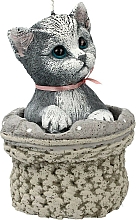 Düfte, Parfümerie und Kosmetik Dekorative Kerze Kitten 11x17 cm grau  - Artman Cat
