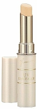 Düfte, Parfümerie und Kosmetik Aufhellender Korrekturstift mit LSF 28 - Isehan Ferme White Up UV Concealer SPF28