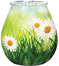 Düfte, Parfümerie und Kosmetik Dekorative Kerze Sommerwiese - Bispol Candle B-Lite Summer Meadow